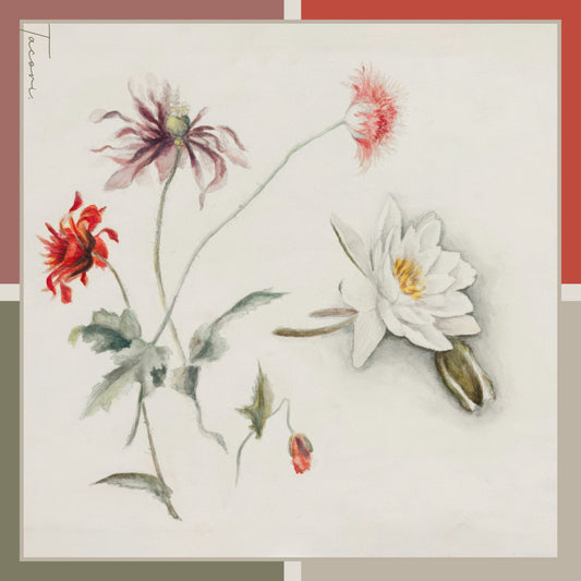 Gion - Cotton Scarf