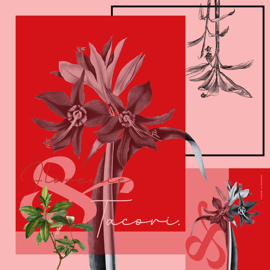 Staree | Pre-order