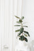 Rubber Plant Microfiber Tea Towel